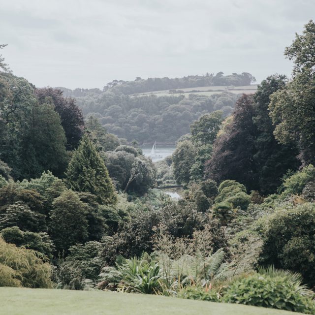 The gardens at Trebah Gardens in Cornwall where Katie and Rob got married. This picture was taken during a wedding planned by Jenny Wren, Wedding Planner in Cornwall.