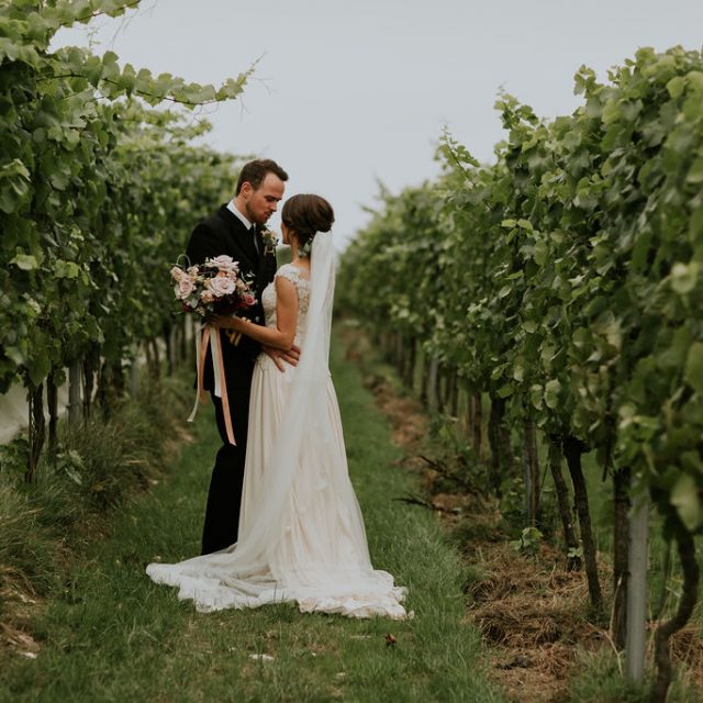 Bride and groom in vineyard at Trevibban Mill in Cornwall