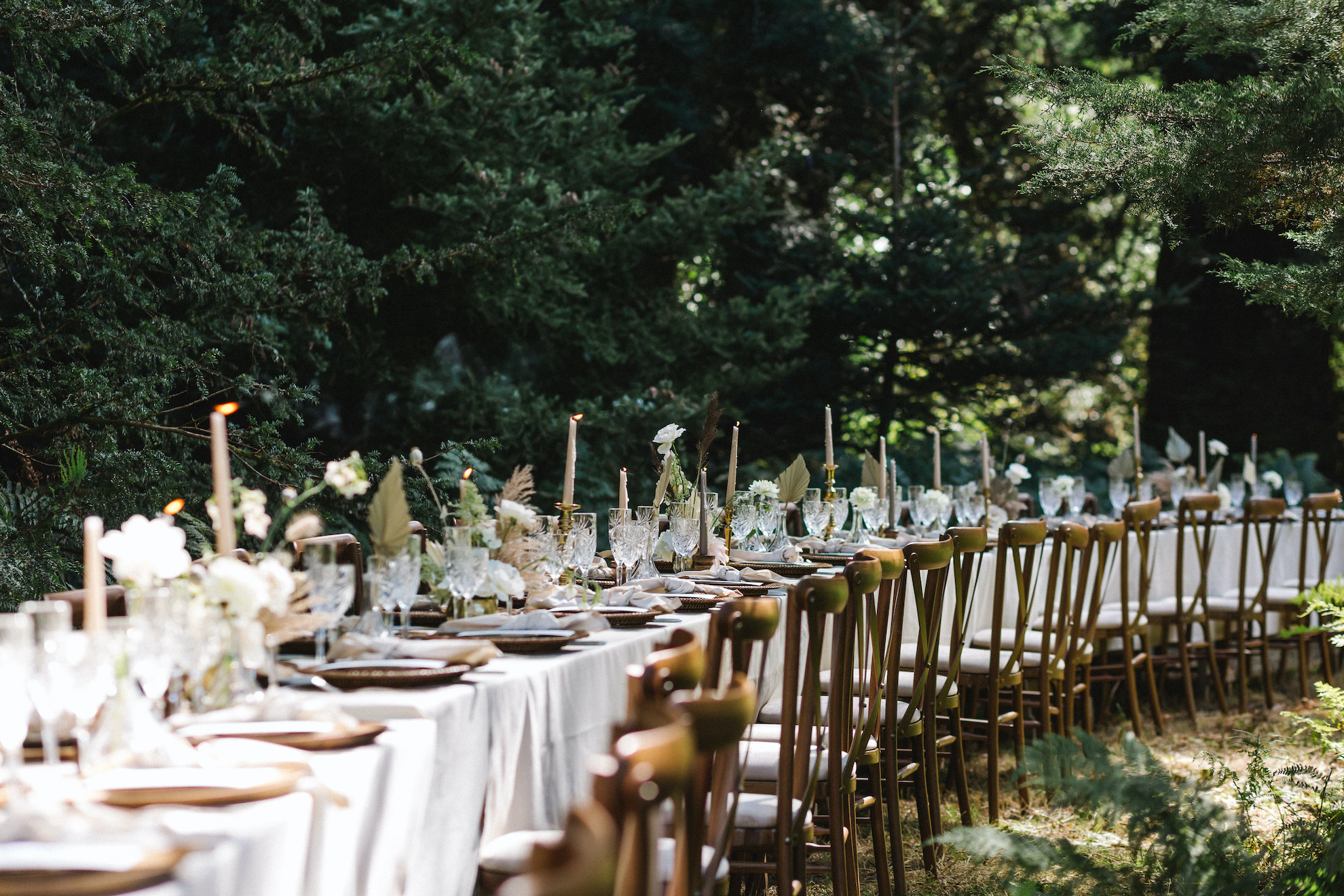 Table set up woodland wedding in pinetum Boconnoc